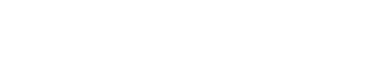 Spedifen logo